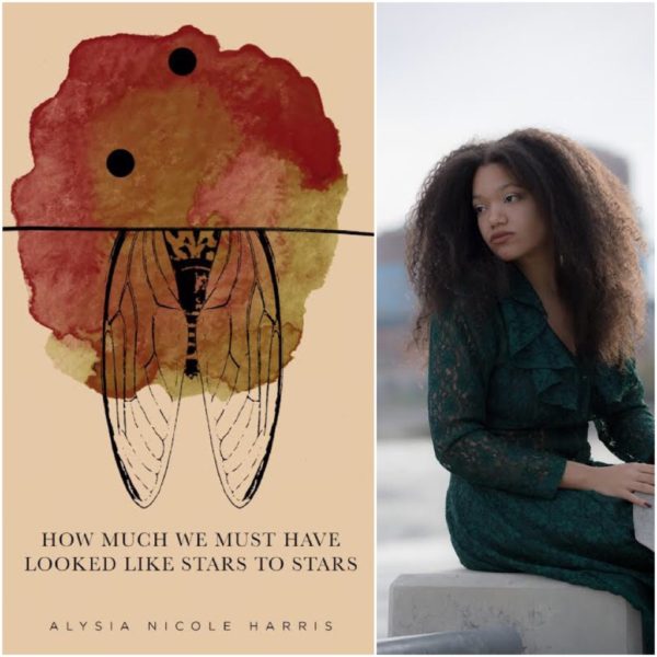 How Much We Must Have Looked Like Stars To Stars by A.N. Harris