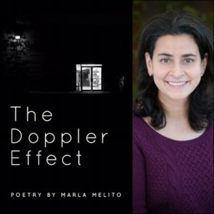 The Doppler Effect by Marla Melito