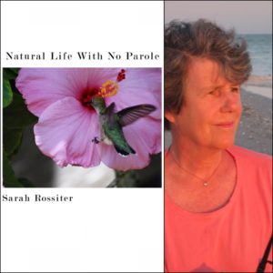 Natural Life With No Parole by Sarah Rossiter