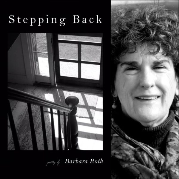 Stepping Back by Barbara Roth