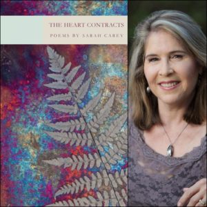 The Heart Contracts by Sarah Carey