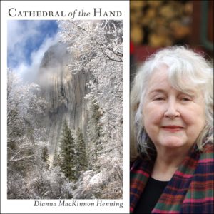 Cathedral of the Hand by Dianna  MacKinnon Henning