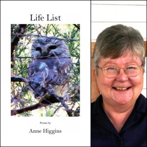 Life List by Anne Higgins