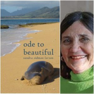 Ode to Beautiful by Sandra Sidman Larson