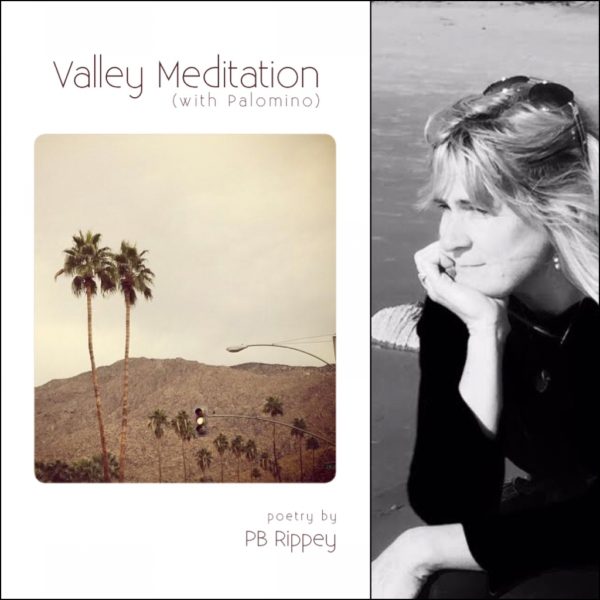 Valley Meditation (with Palomino) by PB Rippey