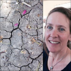when the light of any action ceases by Anne F. Walker