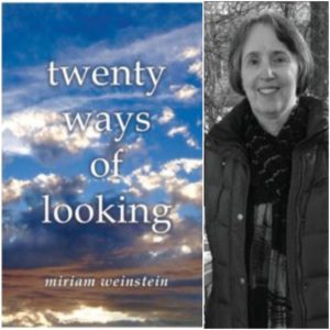 Twenty Ways of Looking by Miriam Weinstein