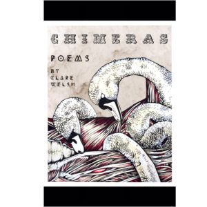 Chimeras by Clare Welsh