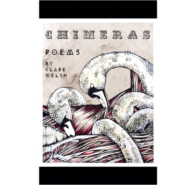 Chimeras by Clare Welsh