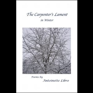 The Carpenter's Lament in Winter by Antointte Libro