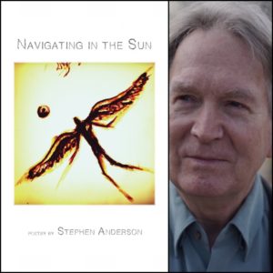 Navigating in the Sun by Stephen Anderson