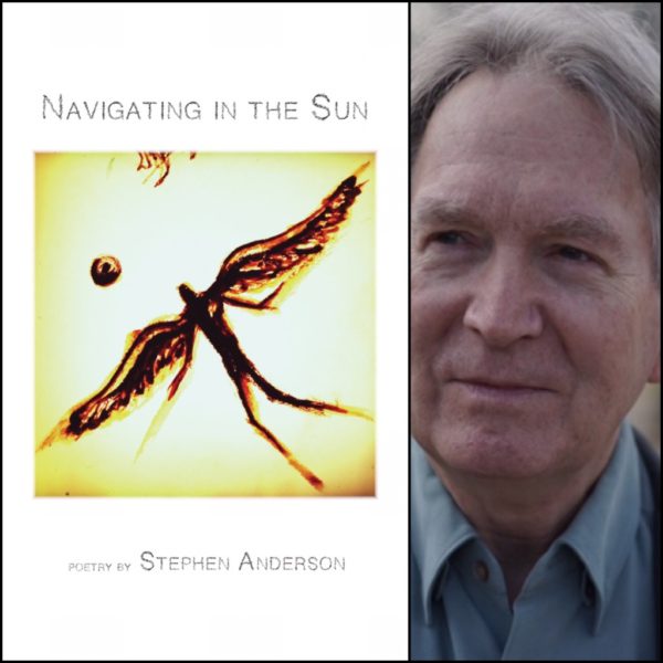 Navigating in the Sun by Stephen Anderson