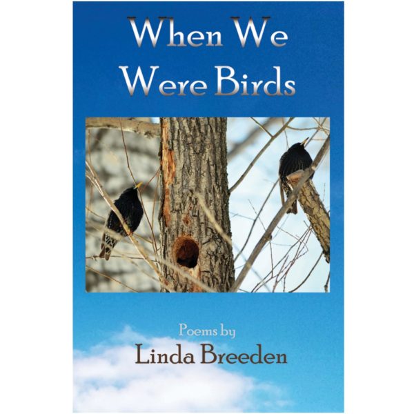 When we were birds by Linda Breeden