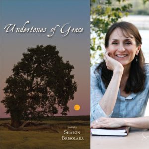 Undertones of Grace by Sharon Brisolara