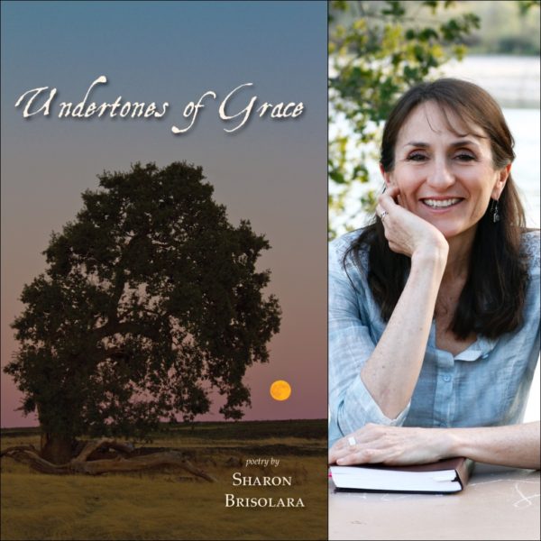 Undertones of Grace by Sharon Brisolara