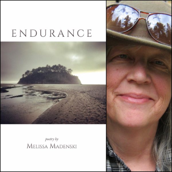 Endurance by Melissa Madenski