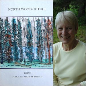 North Woods Refuge by Marilyn Aschoff Mellor