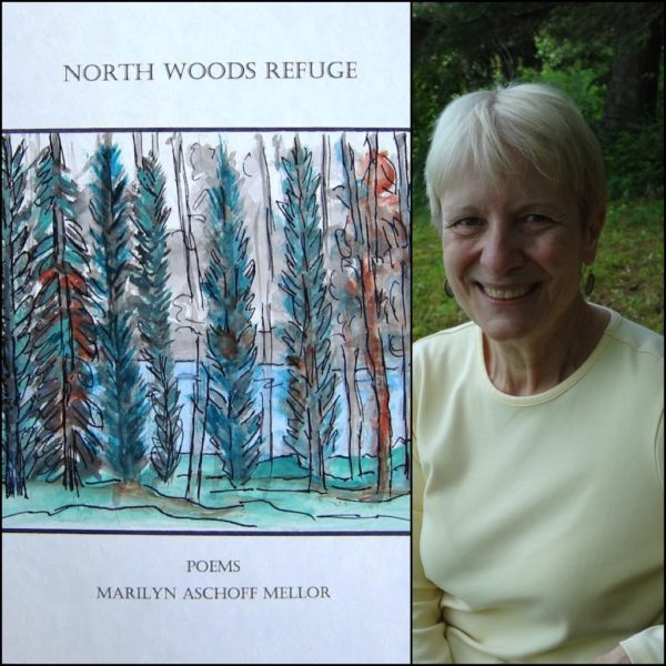 North Woods Refuge by Marilyn Aschoff Mellor