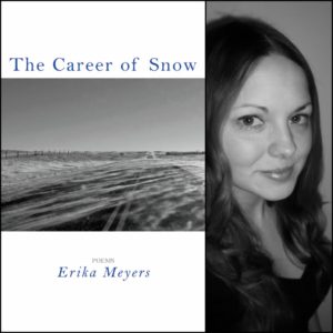 The Career of Snow by Erika Meyers