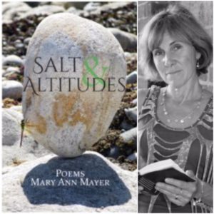Salt & Altitudes by Mary Ann Mayer