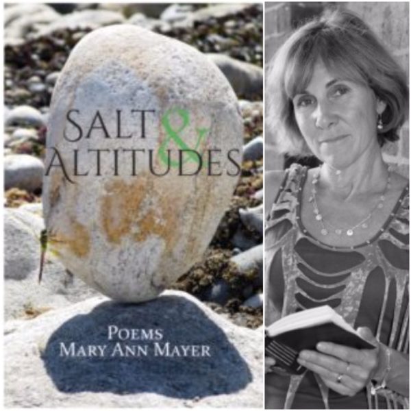 Salt & Altitudes by Mary Ann Mayer
