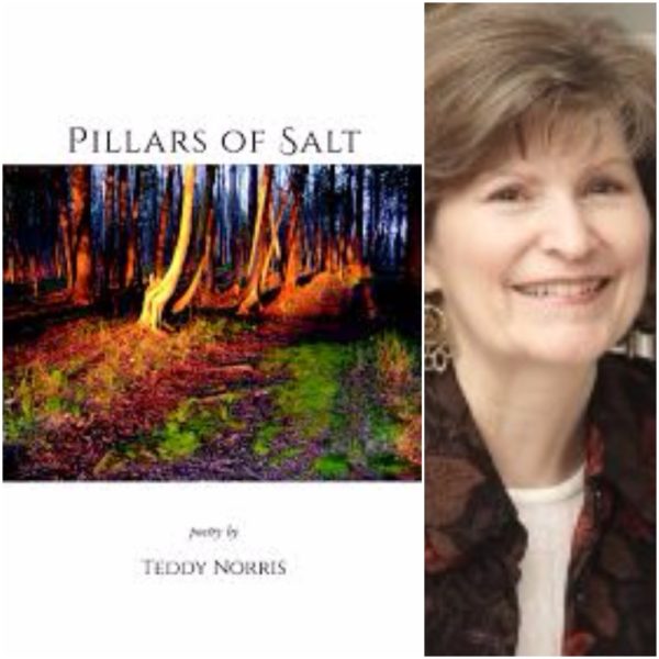 Pillars of Salt by Teddy Norris
