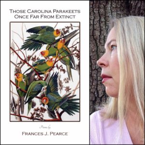 Those Carolina Parakeets Once Far From Extinct by Frances Pearce