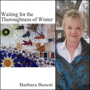 Waiting for the Thoroughness of Winter by Barbara Benoit