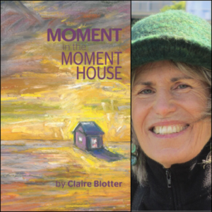 Moment In The Moment House by Claire Blotter