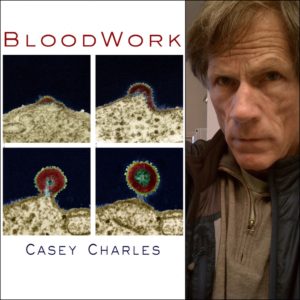 Blood Work by Casey Charles