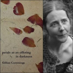 Petals as an Offering in Darkness by Gillian Cummings