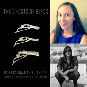 The Ghosts of Birds by Kristina Marie Darling
