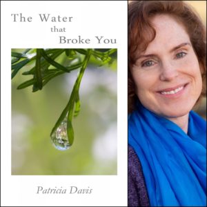The Water that Broke You by Patricia Davis
