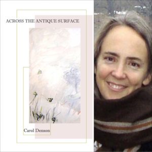 Across the Antique Surface by Carol Denson