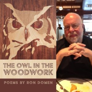 The Owl in the Woodwork by Ron Domen