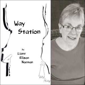 Way Station by Liane Ellison Norman