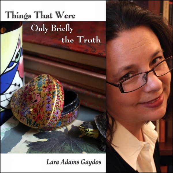 Things That Were Only Briefly the Truth by Lara Adams Gaydos