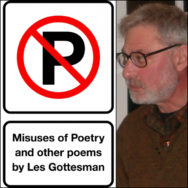 Misuses of Poetry and Other Poems by Les Gottesman