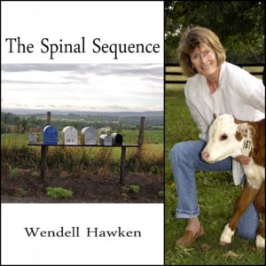 The Spinal Sequence by Wendell Hawken