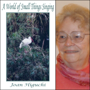 A World of Small Things Singing by Joan Higuchi