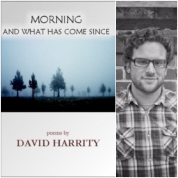 Morning and What Has Come Since by David Harrity