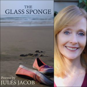 The Glass Sponge by Jules Jacob