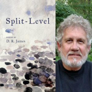 Split-Level by D. R. James
