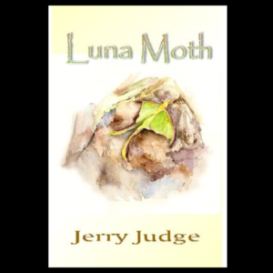 Luna Moth by Jerry Judge