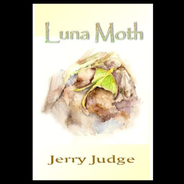 Luna Moth by Jerry Judge