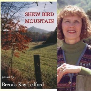 Shew Bird Mountain by Brenda Kay Ledford