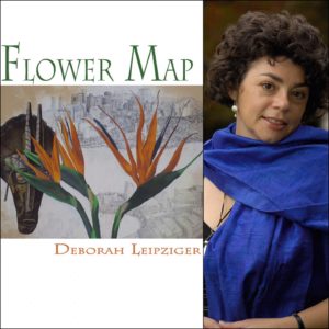 Flower Map by Deborah Leipziger