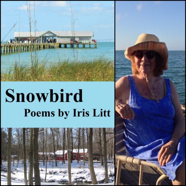 Snowbird by Iris Litt