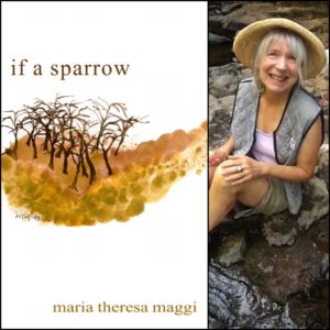 If A Sparrow by Maria Theresa Maggi