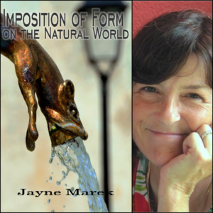 Imposition of Form on the Natural World by Jayne Marek